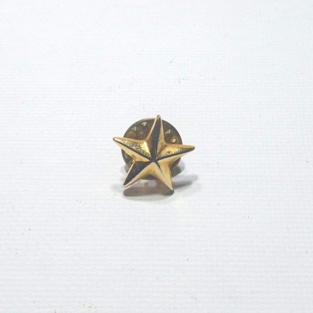 Gold star pin